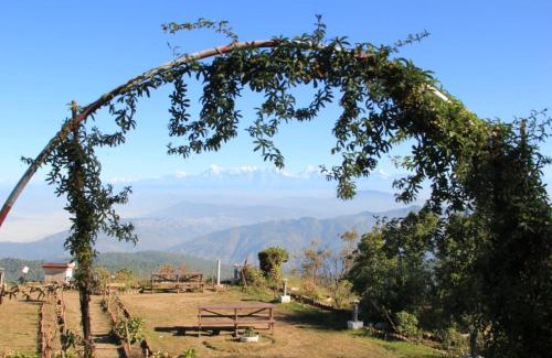 Mukteshwar Maison | Vineet Homestay