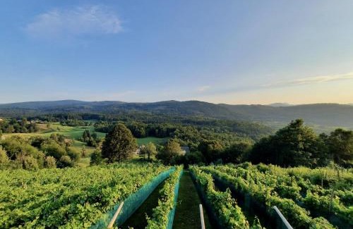 Dolenjske Toplice Appartement | Vineyard cottage Kulovec