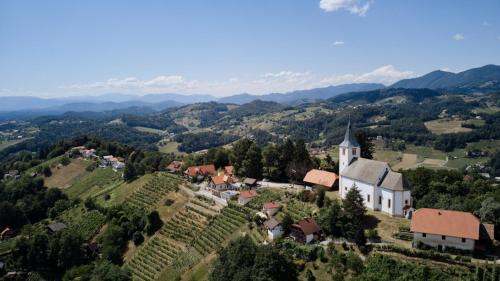Spodnja Polskava Maison | Vineyard Paradise Senica