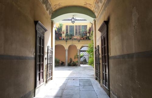 Cremona Maison | Violino azul