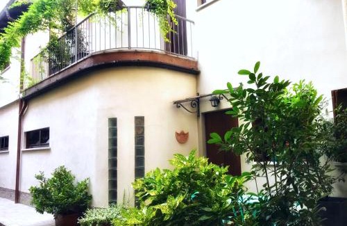 Cremona Maison | Violino azul