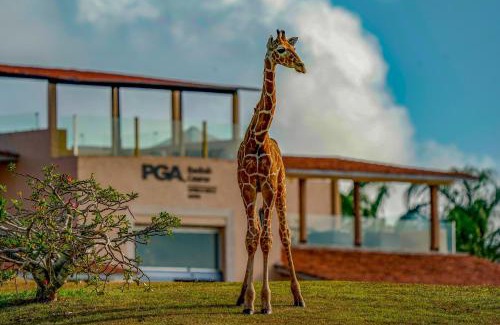 Vipingo Hôtel | Vipingo Ridge limited