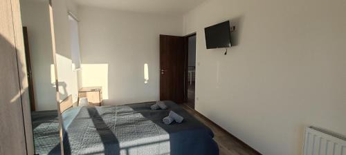 Balatonszarszo Maison | Virág Vendégház Balatonszárszó