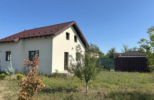 Mioveni Maison | Viraj