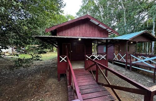 Amazon River Maison | Vista do Lago Jungle Lodge