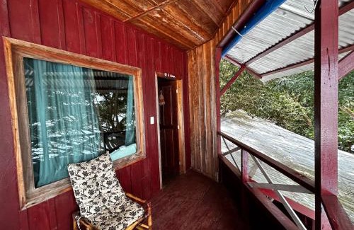 Amazon River Maison | Vista do Lago Jungle Lodge