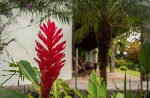 Tierras Morenas Appartement | Vista Lago Arenal