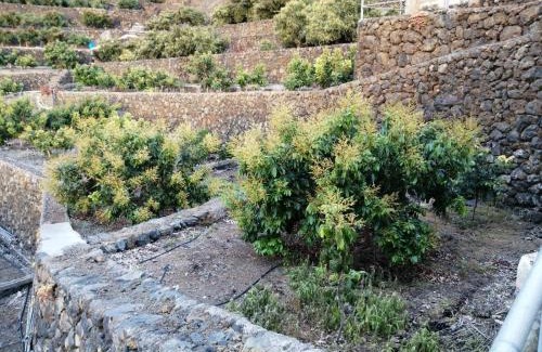 La Orotava Maison | Vista Valle