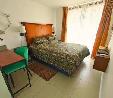 Bellavista Appartement | Vistas de Providencia