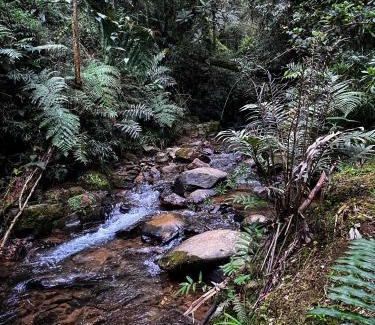 Guarne Autre | Vital Ecohotel Cabañas