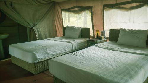 Traeng Trayueng Station Balnéaire | vKirirom Pine Resort