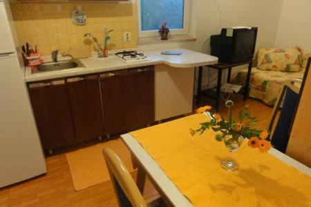 Miholascica Appartement | Vlado