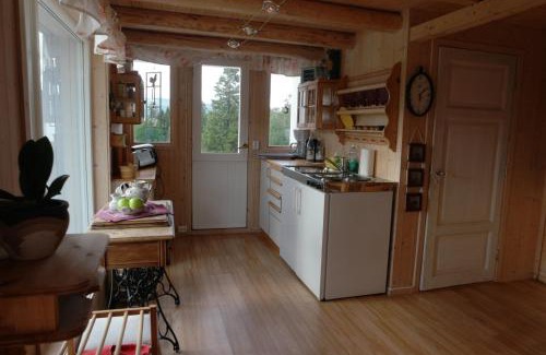 Snasa Appartement | Vognbu Gran Nordre