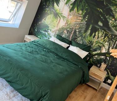 Valenciennes Appartement | Voyage en Duplex en Hyper Centre