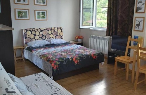 Krasnaya Polyana Appartement | Voznesenskaya 24