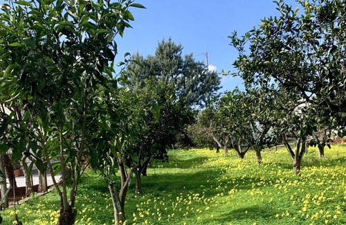 Lesina Copropriété | Vrbo Property