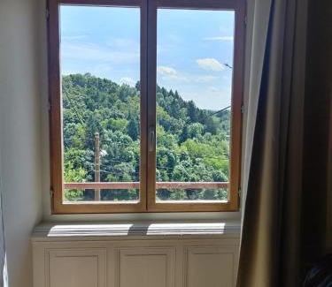 Thiers Appartement | Vue Volcans Studio de Charme Thiers Centre