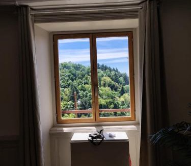 Thiers Appartement | Vue Volcans Studio de Charme Thiers Centre