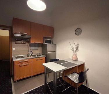 Vysehrad Appartement | Vysehrad studio near the Congress Centre