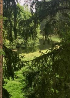 Brusy Appartement | W lesie nad rzeką