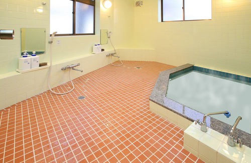 Nozawaonsen Hôtel | Wafu Pension MIYAZAWA