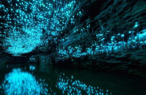 Waitomo Caves Maison | Waitomo Golf Ridge