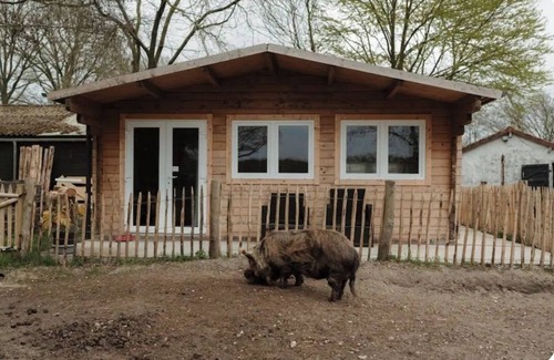 Stevensbeek Chalet De Ski | Waking up among the grunting pigs