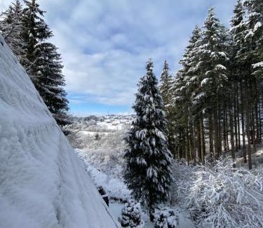 Feriendorf Im Killerberg Appartement | Wald-Chalet Vulkaneifel