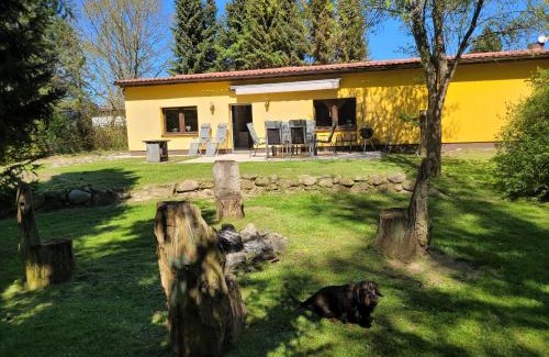 Marlow Maison | Waldblick
