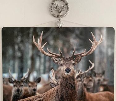 Braunlage Appartement | Waldglück Braunlage