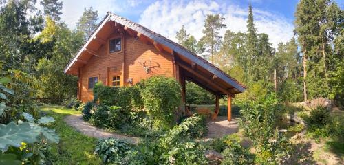 Bad Schmiedeberg Maison | Waldhaus Eichhörnchen