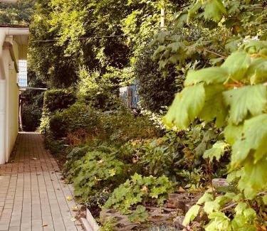 Stecklenberg Maison | Waldhaus Harz, Natur pur mit Pool, Sauna und traumhaften Garten