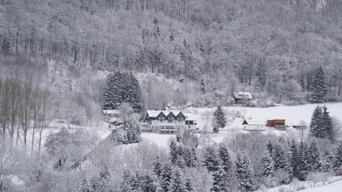 Olsberg Hôtel | Waldhotel Schinkenwirt