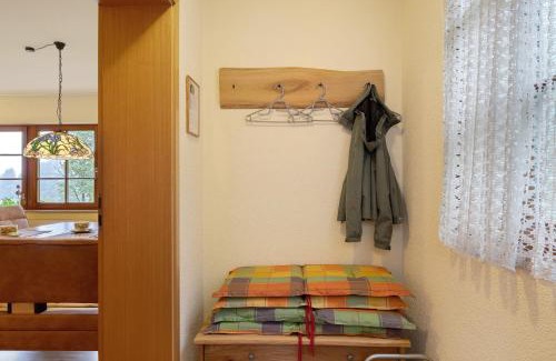 Neuglashutten Appartement | Waldhuesli Feldberg Gartengeschoss