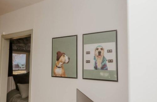 Sioux Center Maison | Walk to Cafe & Mall, One Mile to Dordt, Dog Theme