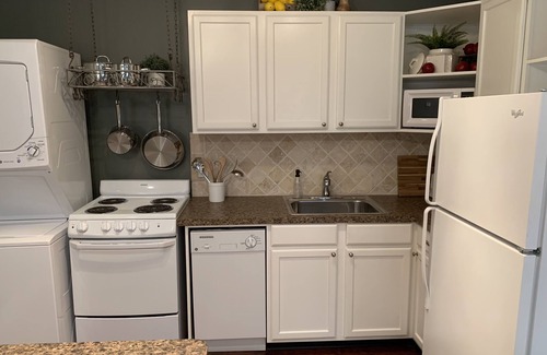 Denton Appartement | Walk to UNT or short drive to 3 hospitals for medical staff