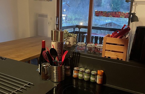 Morzine Appartement | Walking Distance of all Lifts/town for Summer and Winter Fun!