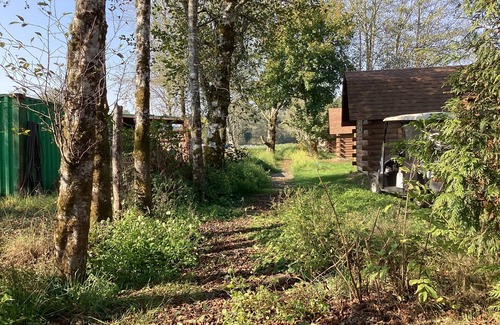 Ilwaco Cabine | Wallicut River RV Resort & Cabins