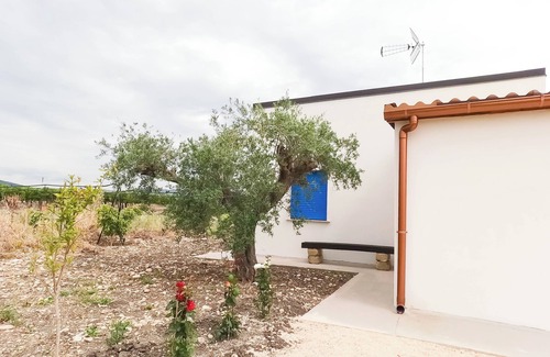 Ribera Maison | Waning Moon - Among the Citrus Trees in Ribera