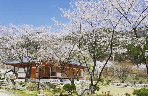 Wanju Maison | Wanju Hoyeonje