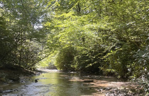 Northfork Cabine | Wards Creekside Cabins 04