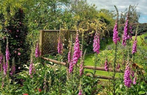 Aongatete Lit Et Petit-Déjeuner | Warm Earth Cottages