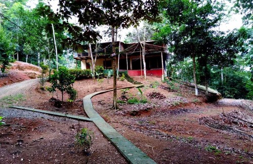 Platanillo Maison | Cascades Maison à l'intérieur dans la forêt des pluies