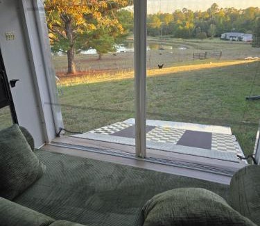 Water Valley Appartement | water valley, tiny home animal petting exp, fruit trees, fishing pond, stars, camping ect