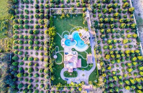 Ismailia Maison | Waterfall Zoo Lodge Deluxe Suite 1