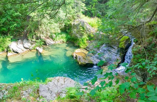 Hollowville Maison | Waterfalls and Trails at The Mills At Green Hole