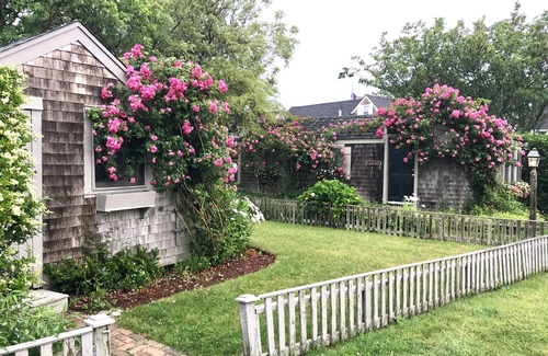 Siasconset Maison | Waterfront Cottage in Sconset with Stunning Sunrise Views