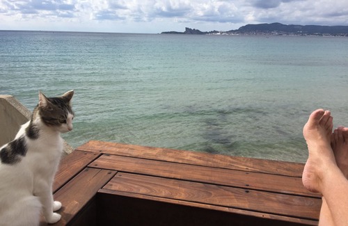 Saint-Cyr-sur-Mer Maison | Maison pieds dans l 'eau dans le prolongement de la plage des Lecques .