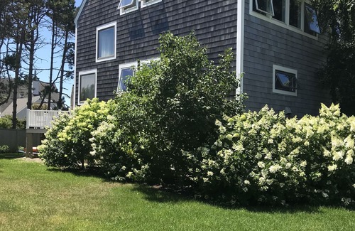 Kennebunkport Maison | Waterfront, Only 1 Week Left, Summer 25', K'Port Goose Rocks Beach
