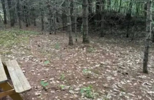 Limerick Cabine | Watersrock Woods Camp Site 2